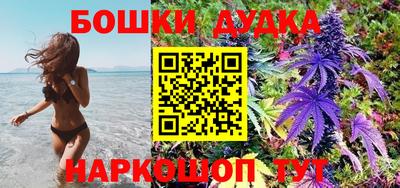 стаф Чебоксары