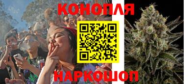стаф Чебоксары