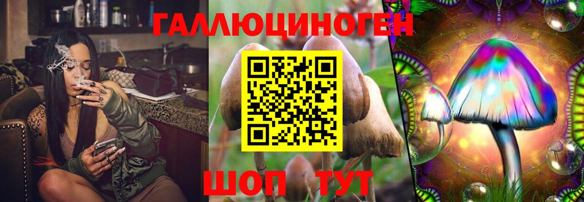 Галлюциногенные грибы прущие грибы  Вход с VPN  Нарткала 